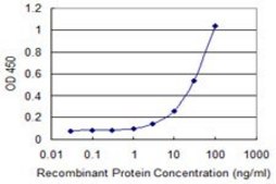 Monoclonal Anti-ABCG1 antibody produced in mouse clone 2H8, purified immunoglobulin, buffered aqueous solution