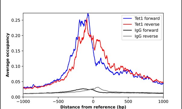 Anti-TET1 antibody produced in rabbit Prestige Antibodies&#174; Powered by Atlas Antibodies, affinity isolated antibody