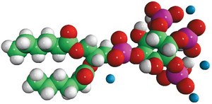 06:0 PI(3,4,5)P3 1,2-dihexanoyl-sn-glycero-3-phospho-(1&#8242;-myo-inositol-3&#8242;,4&#8242;,5&#8242;-trisphosphate) (ammonium salt), powder