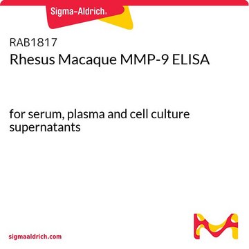 Rhesus Macaque MMP-9 ELISA for serum, plasma and cell culture supernatants
