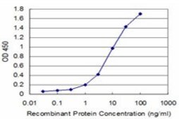 ANTI-ABL2 antibody produced in mouse clone 2H8, purified immunoglobulin, buffered aqueous solution