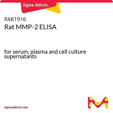 Rat MMP-2 ELISA for serum, plasma and cell culture supernatants