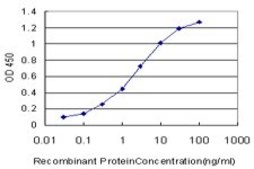 Monoclonal Anti-PRKCD antibody produced in mouse clone 2E12, purified immunoglobulin, buffered aqueous solution