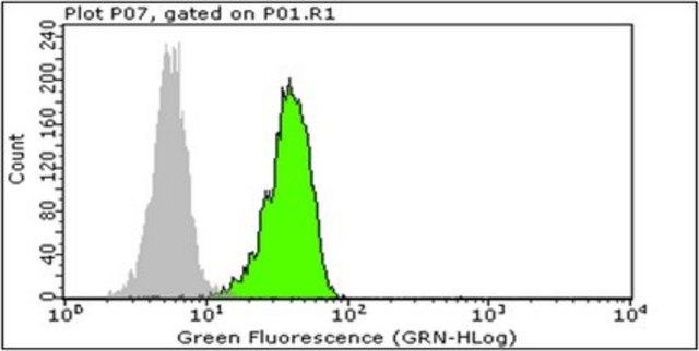 Anti-sTRAIL Antibody, clone III6F clone III6F, from mouse