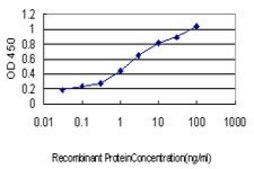 Monoclonal Anti-IRF1 antibody produced in mouse clone 2E4, purified immunoglobulin, buffered aqueous solution