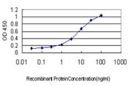 Monoclonal Anti-HOXC8 antibody produced in mouse clone 5G1, purified immunoglobulin, buffered aqueous solution