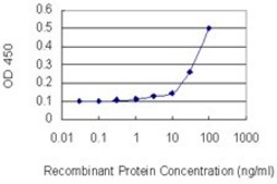 Monoclonal Anti-BCL2L2 antibody produced in mouse clone 2E4, purified immunoglobulin, buffered aqueous solution