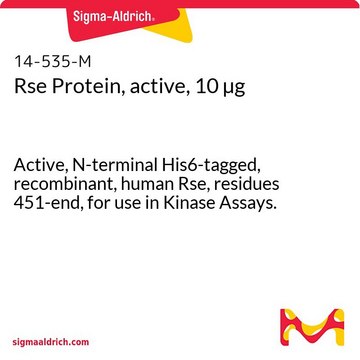 Rse Protein, active, 10 &#181;g Active, N-terminal His6-tagged, recombinant, human Rse, residues 451-end, for use in Kinase Assays.