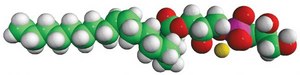 18:1 Lyso PG 1-oleoyl-2-hydroxy-sn-glycero-3-phospho-(1&#8242;-rac-glycerol) (sodium salt), chloroform