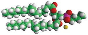 18:1 Phosphatidylbutanol 1,2-dioleoyl-sn-glycero-3-phosphobutanol (sodium salt), neat oil