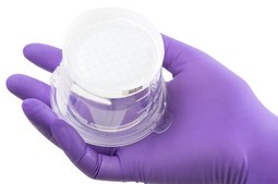 Milliflex Oasis® Filtration Unit pore size 0.45 μm, mixed cellulose esters (MCE) membrane, white filter, volume 100 mL