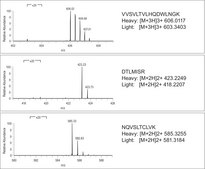 SILu&#8482;MAB Stable-Isotope Labeled Universal Monoclonal Antibody Standard human recombinant, expressed in CHO cells