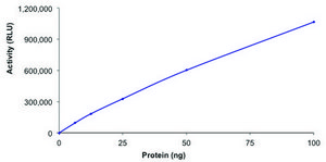 SIRT1, active, His tagged human recombinant, expressed in baculovirus infected Sf9 cells, &#8805;70% (SDS-PAGE), buffered aqueous glycerol solution