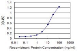 Monoclonal Anti-PTGIS, (C-terminal) antibody produced in mouse clone 3B11, purified immunoglobulin, buffered aqueous solution