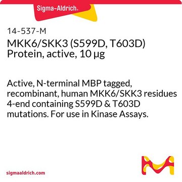 MKK6/SKK3 (S599D, T603D) Protein, active, 10 &#181;g Active, N-terminal MBP tagged, recombinant, human MKK6/SKK3 residues 4-end containing S599D &amp; T603D mutations. For use in Kinase Assays.