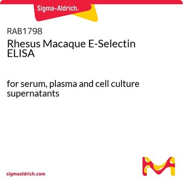 Rhesus Macaque E-Selectin ELISA for serum, plasma and cell culture supernatants