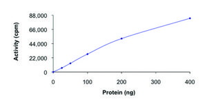 CDK1/CyclinB1, active, GST tagged human PRECISIO&#174; Kinase, recombinant, expressed in baculovirus infected Sf9 cells, &#8805;70% (SDS-PAGE), buffered aqueous glycerol solution