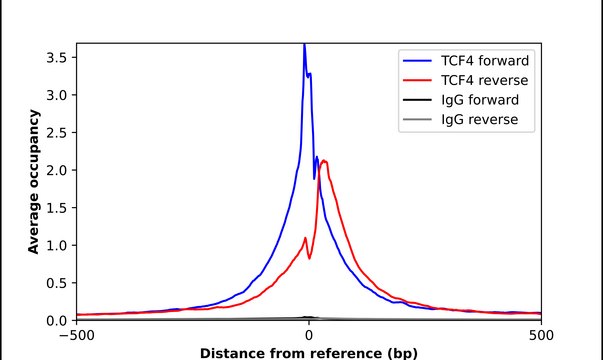 Anti-TCF4 antibody produced in rabbit Prestige Antibodies&#174; Powered by Atlas Antibodies, affinity isolated antibody, buffered aqueous glycerol solution