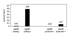 ChIPAb+ Monomethyl-Histone H4 (Lys20) - ChIP Validated Antibody and Primer Set from rabbit, purified by affinity chromatography