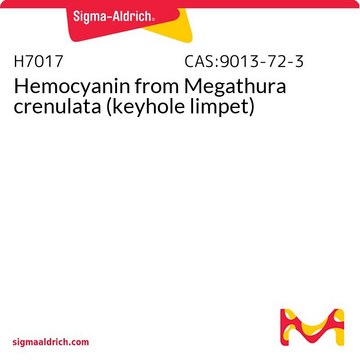 Hemocyanin from Megathura crenulata (keyhole limpet)