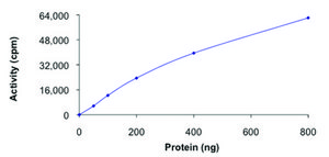 PDHK2, active, GST tagged human PRECISIO&#174; Kinase, recombinant, expressed in baculovirus infected Sf9 cells, &#8805;70% (SDS-PAGE), buffered aqueous glycerol solution