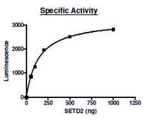 SETD2 active human recombinant, expressed in E. coli, &#8805;70% (SDS-PAGE)