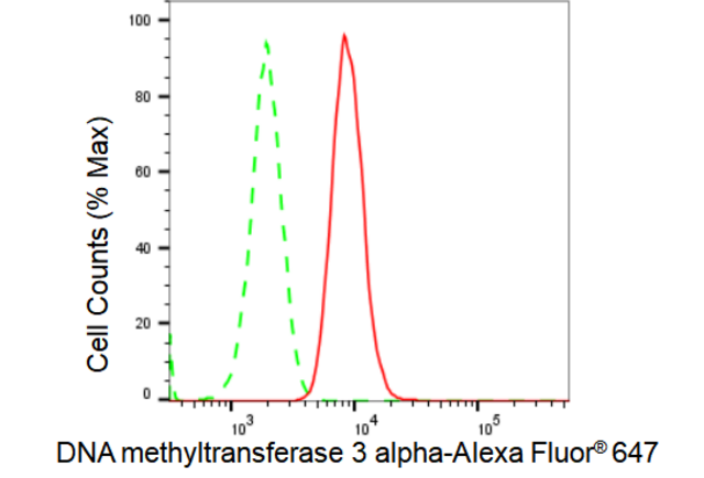 Anti DNA methyltransferase 3 alpha Antibody, clone 23GB2230, Rabbit Monoclonal clone 23GB2230, recombinant rabbit monoclonal, expressed in HEK293 cells