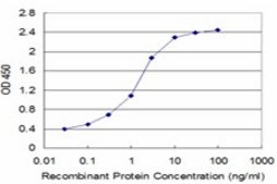 Monoclonal Anti-SPTBN2 antibody produced in mouse clone 4D9, purified immunoglobulin, buffered aqueous solution
