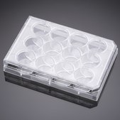 Corning® Falcon® Cell Culture Plate wells, 12, Tissue Culture (TC)-treated surface, flat bottom clear wells, sterile