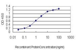 Monoclonal Anti-GOLGB1 antibody produced in mouse clone 6D4, purified immunoglobulin, buffered aqueous solution