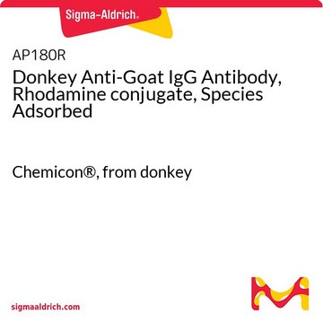 Donkey Anti-Goat IgG Antibody, Rhodamine conjugate, Species Adsorbed Chemicon&#174;, from donkey