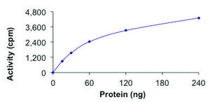 LIMK2, Active PRECISIO&#174; Kinase, recombinant