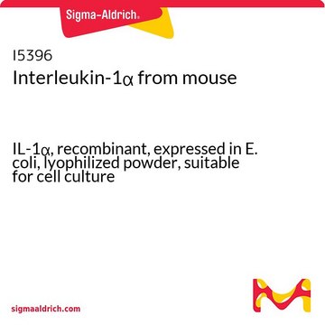 Interleukin-1&#945; from mouse IL-1&#945;, recombinant, expressed in E. coli, lyophilized powder, suitable for cell culture
