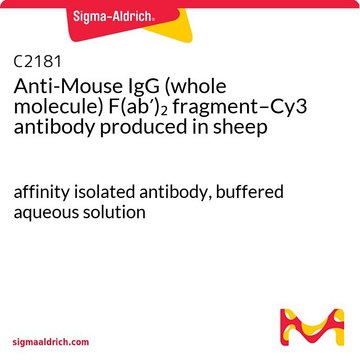 Anti-Mouse IgG (whole molecule) F(ab&#8242;)2 fragment–Cy3 antibody produced in sheep affinity isolated antibody, buffered aqueous solution