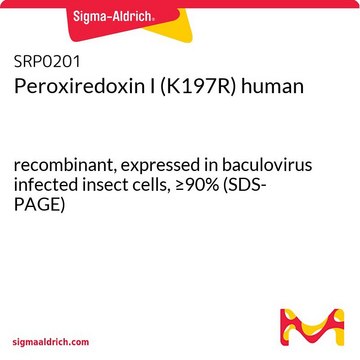 Peroxiredoxin I (K197R) human recombinant, expressed in baculovirus infected insect cells, &#8805;90% (SDS-PAGE)