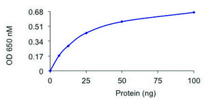 PP2A ALPHA/PPP2R1A Complex, Active recombinant