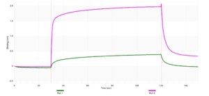 Anti-IL2RB Antibody, clone 4D2 ZooMAb&#174; Rabbit Monoclonal recombinant, expressed in HEK 293 cells