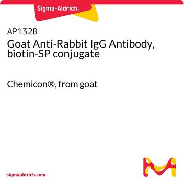 Goat Anti-Rabbit IgG Antibody, biotin-SP conjugate Chemicon&#174;, from goat