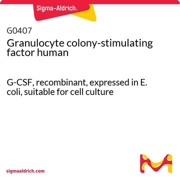 Granulocyte colony-stimulating factor human &gt;97% (SDS-PAGE), G-CSF, recombinant, expressed in E. coli, suitable for cell culture