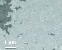 Graphene/PEDOT:PSS hybrid ink dispersion in DMF, avg. no. of layers, 1 ‑ 3
