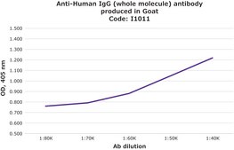 Anti-Human IgG (whole molecule) antibody produced in goat whole antiserum