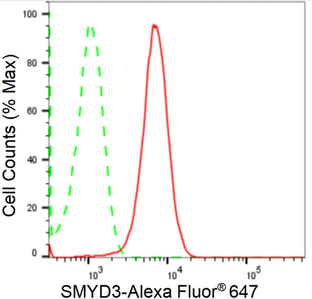 KD-Validated Anti SMYD3 Antibody, clone 24GB2260, Rabbit Monoclonal clone 24GB2260, recombinant rabbit monoclonal, expressed in HEK293 cells
