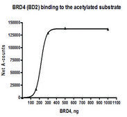 BRD4 (342-460) GST tag human recombinant, expressed in E. coli, &#8805;75% (SDS-PAGE)