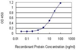 Monoclonal Anti-HTR1E antibody produced in mouse clone 2E9, purified immunoglobulin, buffered aqueous solution