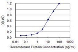Monoclonal Anti-MGEA5, (C-terminal) antibody produced in mouse clone 1C7, purified immunoglobulin, buffered aqueous solution