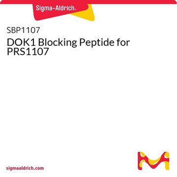 DOK1 Blocking Peptide for PRS1107