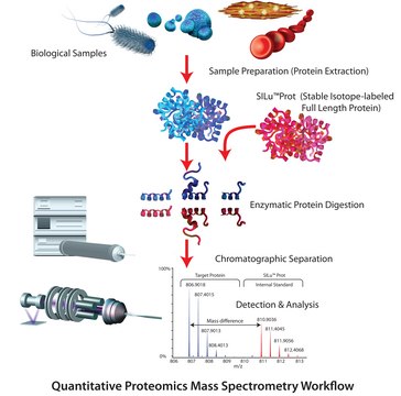 SILu&#8482;Prot CCL2 C-C motif chemokine 2 human SIL MS Protein Standard, 13C and 15N-labeled