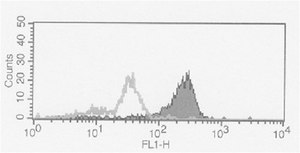 Anti-Fc&#947;RII (human) Antibody, clone AT10 clone AT10, from mouse