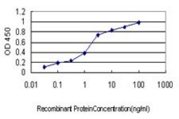 Monoclonal Anti-USP9X antibody produced in mouse clone 1C4, purified immunoglobulin, buffered aqueous solution