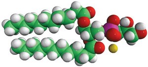 12:0 PG Avanti Research&#8482; - A Croda Brand